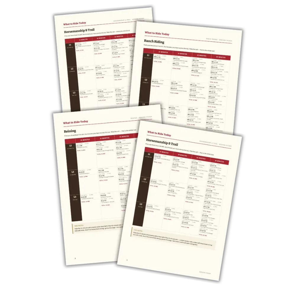 Preview of the printable “What to Ride Today” Session Picker sheet