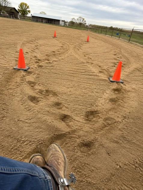 Pattern cards clipped to an arena fence