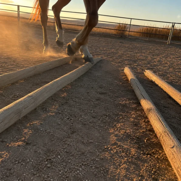 Rider checking the level ladder on a phone